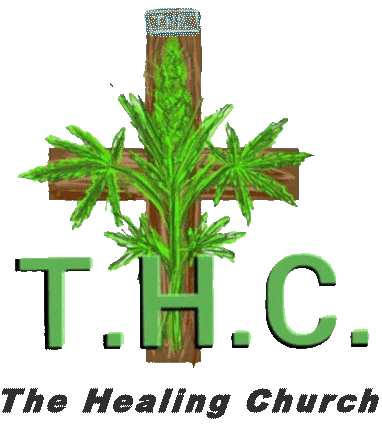 newlogoTrans